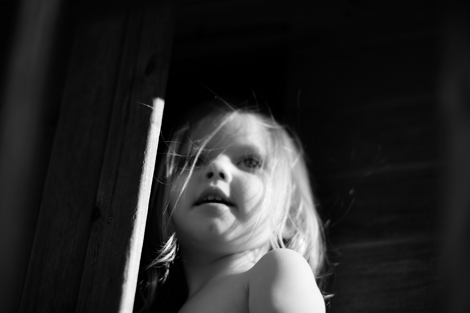 Alexander Lux Photography