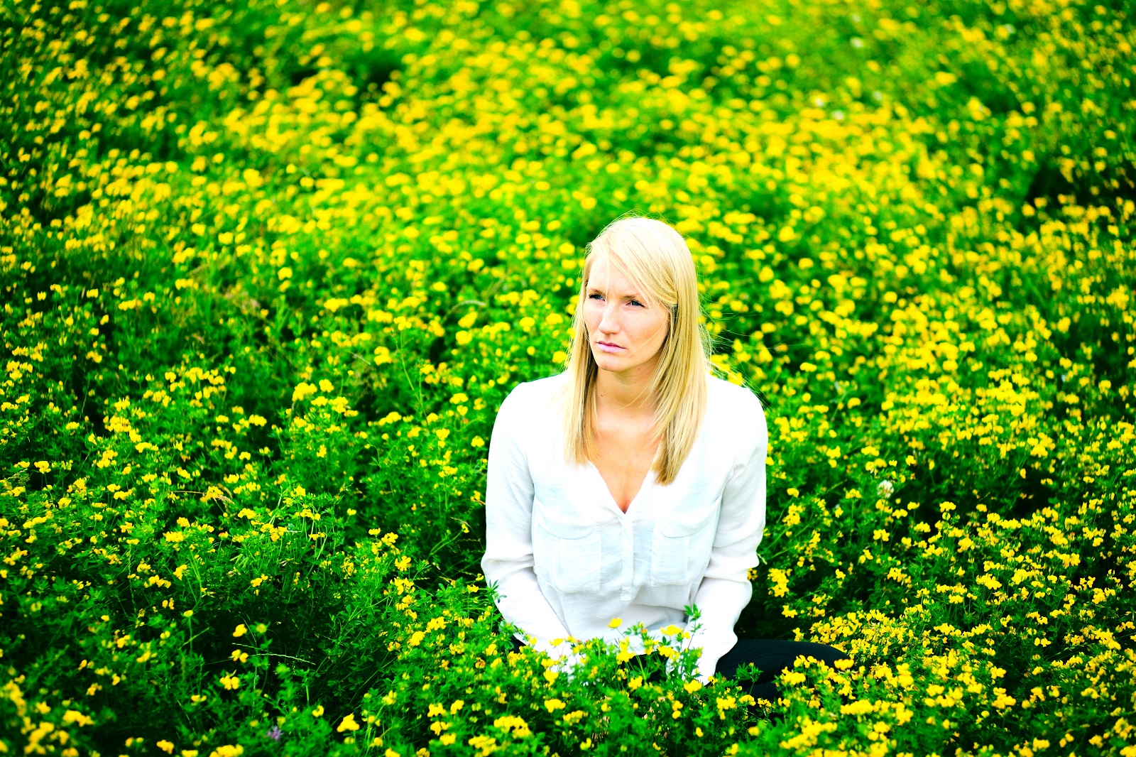Alexander Lux Photography