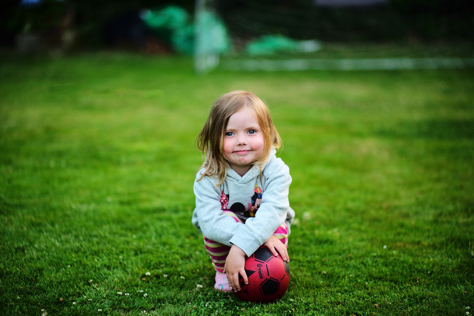 Alexander Lux Photography
